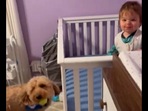This is the dog's ‘new purpose’ - to wake its human’s son up. This is the dog's ‘new purpose’ - to wake its human’s son up. 