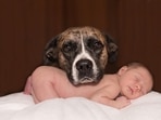 While our pets usually become very loving and protective siblings, initially the baby is a subject of great curiosity and mystery to the pet(Pixabay) While our pets usually become very loving and protective siblings, initially the baby is a subject of great curiosity and mystery to the pet(Pixabay)