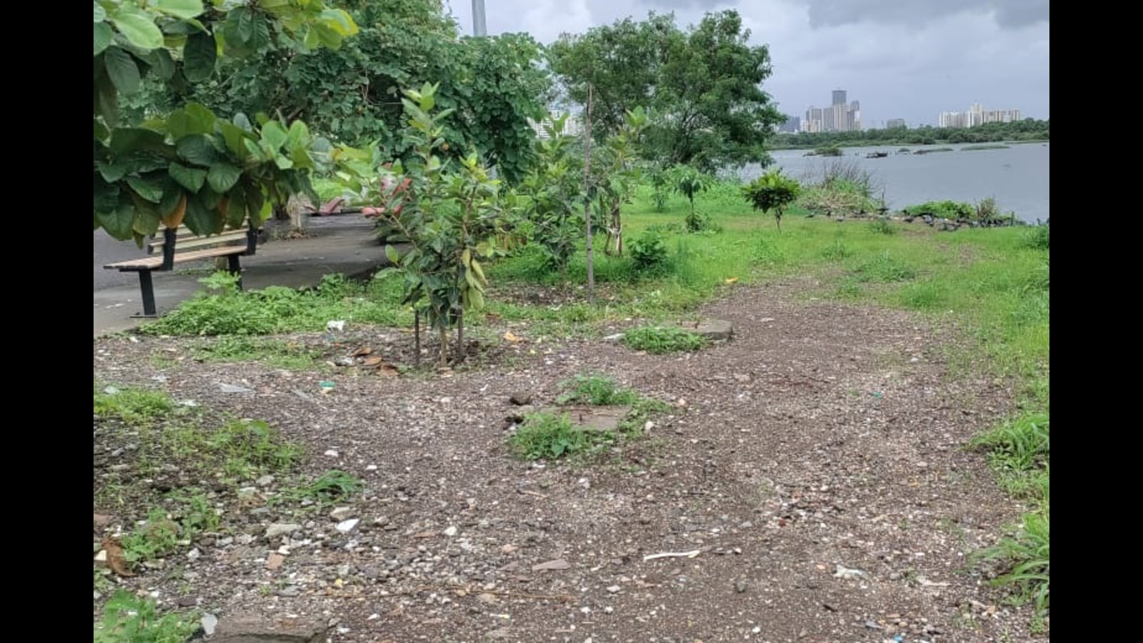 Open Gym On Kharghar Wetlands Removed By Panvel Civic Body Mumbai News Hindustan Times 