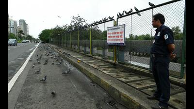 A security guard posted to stop people from feeding birds on the Palm Beach Road in Nerul. (BACHCHAN KUMAR/HT PHOTO)