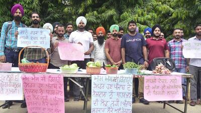 PAU students protesting against the university authorities in Ludhiana. (Gurpreet Singh/HT)