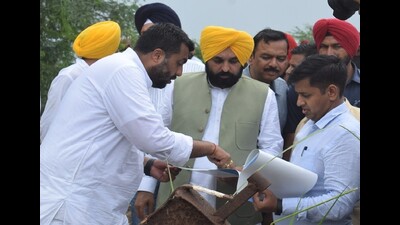Waterlogging will be eradicated from Punjab at earliest, says CM Mann Waterlogging will be eradicated from Punjab at earliest, says CM Mann