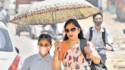 Climate scientists said all of these heat extremes that posed a massive public health crisis were linked by certain global atmospheric patterns. (PTI) Climate scientists said all of these heat extremes that posed a massive public health crisis were linked by certain global atmospheric patterns. (PTI)