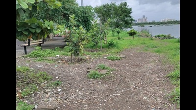 Open gym on Kharghar wetlands removed by the Panvel City Municipal Corporation. (BACHCHAN KUMAR/HT PHOTO)