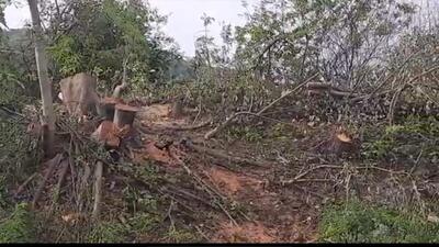 A case regarding the incident was being registered, said officials. (HT PHOTO)