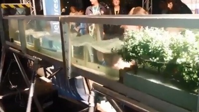 Taken from the viral Twitter video, the image shows how mangroves protect land. (Deltares)