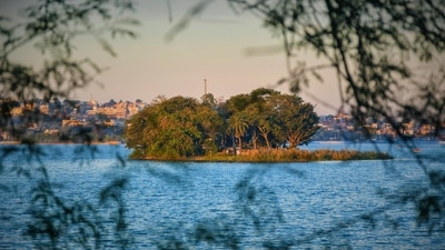 Bhopal is situated in the heart of India , Madhya Pradesh. It is one of the most beloved destinations for art enthusiasts because of its royal culture, rich legacy, and historical arts. The Chowks, which are bordered with historic mosques and havelis, are the most noticeable aspects of Bhopal's art and culture. The city displays a remarkable fusion of Muslim and Hindu artistic influences. For fans of art, the Bhimbetka cave paintings should not be missed. This site is significant in the history of Indian art since the cave paintings there date back to 8000 BC. In addition, there are lakes, the Bharat Bhawan, and the Tribal Museum. (pixabay)