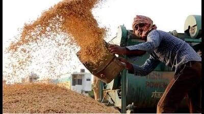 The Punjab cabinet on Thursday gave nod to “The Punjab Custom Milling Policy for kharif 2022-23” for converting the procured paddy into custom milled rice and delivery of the same to Food Corporation of India (FCI) through rice mills of the state. The Punjab cabinet on Thursday gave nod to “The Punjab Custom Milling Policy for kharif 2022-23” for converting the procured paddy into custom milled rice and delivery of the same to Food Corporation of India (FCI) through rice mills of the state.