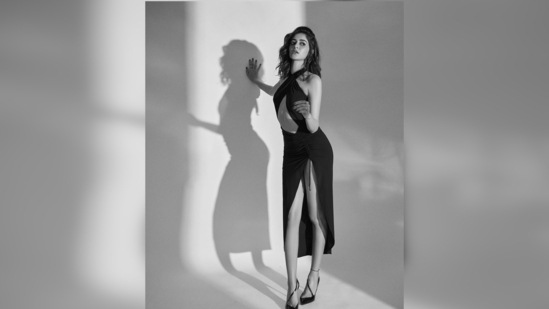 Ananya Panday amped up her stylish look by teaming her attire with a pair of black glossy pointed stilettoes by Christian Louboutin.(Instagram/@ananyapanday)