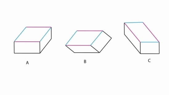 Do you think the these geometric shapes shown in this optical illusion image are equal in size or not?(Lydia Maniatis )