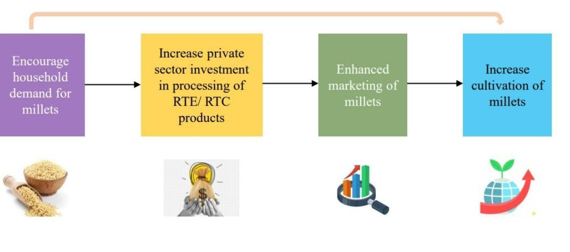 increasing-production-and-consumption-of-millets-hindustan-times