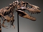 With a dinosaur skeleton sold for $6 million this week, priceless prehistoric relics need to be well-maintained.(Angela Weiss/AFP via Getty Images) With a dinosaur skeleton sold for $6 million this week, priceless prehistoric relics need to be well-maintained.(Angela Weiss/AFP via Getty Images)