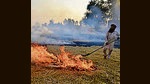 Need to educate farmers to avoid stubble burning: NGT chairman (HT File) Need to educate farmers to avoid stubble burning: NGT chairman (HT File)