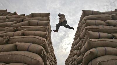 Delay in rain over Indo-Gangetic Plains likely to hit paddy sowing Delay in rain over Indo-Gangetic Plains likely to hit paddy sowing