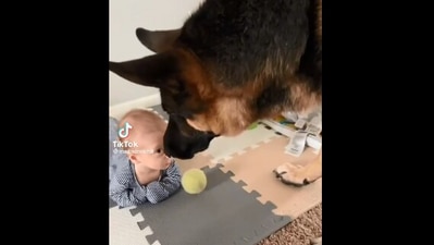 The image, taken from the Reddit video, shows the dog looking at the baby after placing a ball in front of the kid. (Screengrab)
