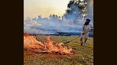Need to educate farmers to avoid stubble burning: NGT chairman (HT File) Need to educate farmers to avoid stubble burning: NGT chairman (HT File)
