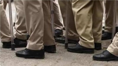 (Pic for representation) (Pic for representation)