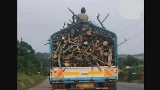 The image showing a truck carrying logs that the IAS officer shared and posted defines irony.(Twitter/@AwanishSharan)