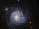 &nbsp; &nbsp; &nbsp; &nbsp; &nbsp; &nbsp; &nbsp; &nbsp; &nbsp; &nbsp; &nbsp; &nbsp; &nbsp; &nbsp; &nbsp; &nbsp; &nbsp; &nbsp; &nbsp; &nbsp; &nbsp; &nbsp; &nbsp; &nbsp; &nbsp; &nbsp; &nbsp; &nbsp; &nbsp; &nbsp; &nbsp; &nbsp; &nbsp; &nbsp; &nbsp; &nbsp; &nbsp; &nbsp; &nbsp; &nbsp; &nbsp; &nbsp; &nbsp;Representational Image