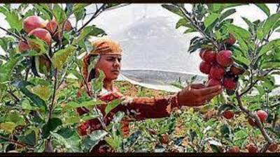 With farmer unions adamant on gheraoing the Himachal Pradesh Secretariat on August 5, the government agreed to three of their 20 demands. (Representative Image/HT File)