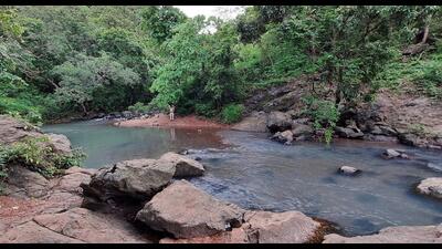 Yeoor Lake in Thane is one of the popular picnic spots, especially during monsoon. Fifty six people have drowned in various lakes, waterfalls and picnic spots in Thane and Navi Mumbai cities since 2019. (PRAFUL GANGURDE/HT PHOTO) Yeoor Lake in Thane is one of the popular picnic spots, especially during monsoon. Fifty six people have drowned in various lakes, waterfalls and picnic spots in Thane and Navi Mumbai cities since 2019. (PRAFUL GANGURDE/HT PHOTO)