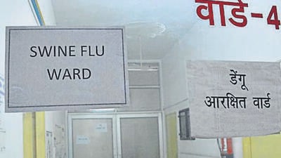 Swine flu infection or H1N1 influenza is primarily found in pigs. The symptoms include fever, lethargy, sneezing, coughing, difficulty in breathing and a decreased appetite. (REPRESENTATIVE PHOTO) Swine flu infection or H1N1 influenza is primarily found in pigs. The symptoms include fever, lethargy, sneezing, coughing, difficulty in breathing and a decreased appetite. (REPRESENTATIVE PHOTO)