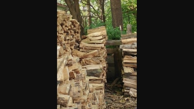 The image shows a cat hiding among the wooden logs. (Reddit/@waterhauler)