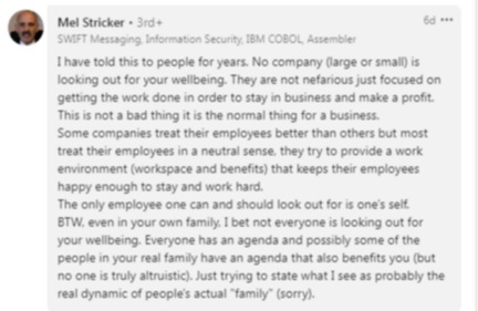 A comment on the CEO's post about company not being a ‘family’. (LinkedIn/@Mel Stricker)