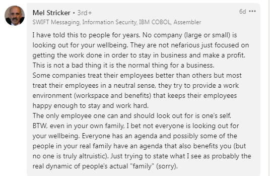 A comment on the CEO's post about company not being a ‘family’.(LinkedIn/@Mel Stricker)