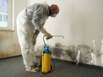 Home interior design tips for dampness in monsoon: Effective ways to stop dampness ruining your building Home interior design tips for dampness in monsoon: Effective ways to stop dampness ruining your building 