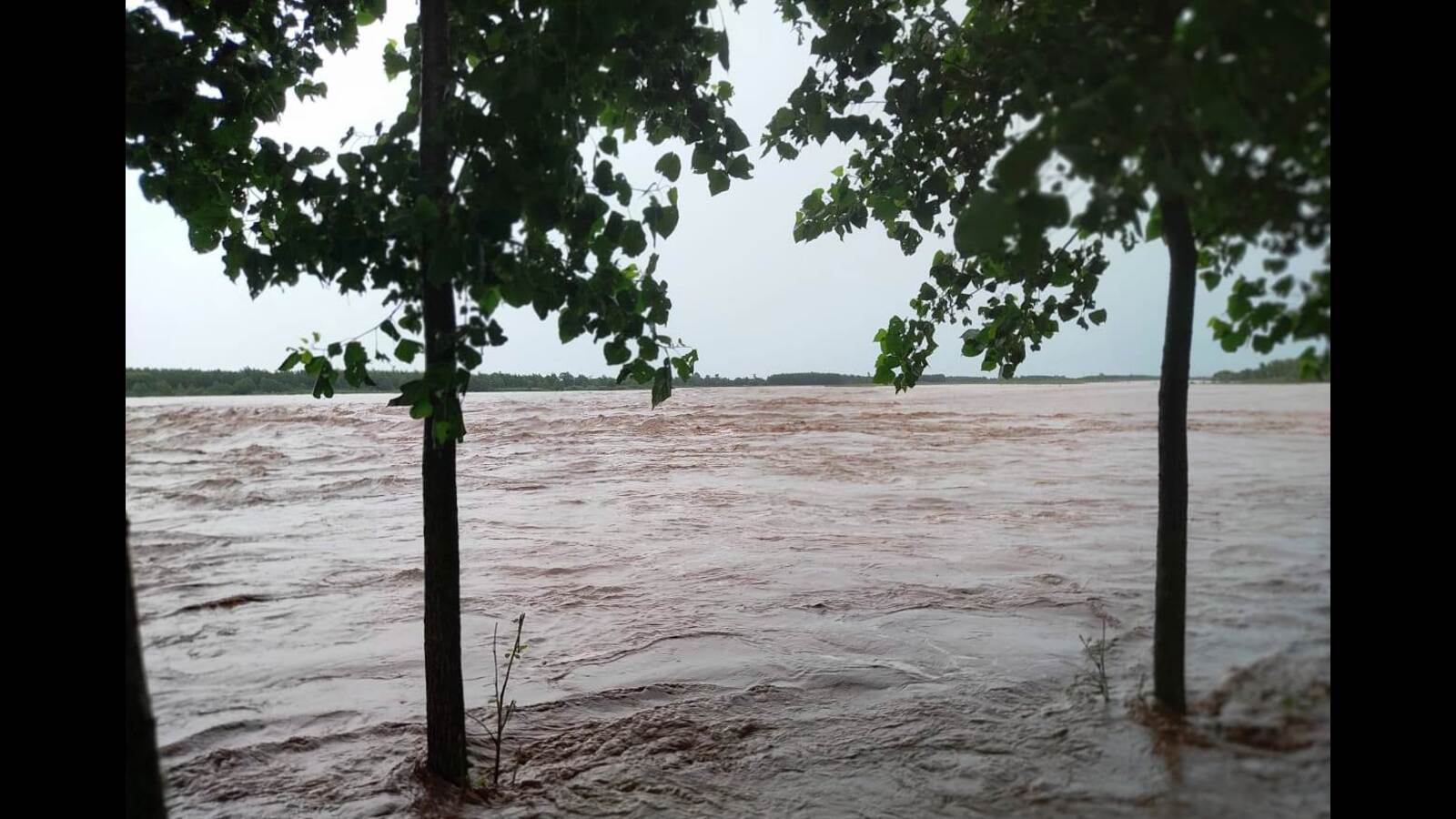 Pathankot, Gurdaspur districts on alert as water level rises in Ravi