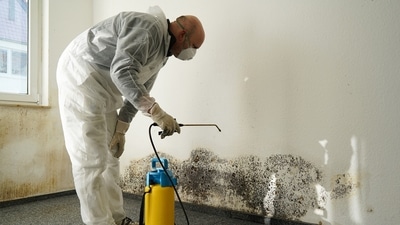 Home interior design tips for dampness in monsoon: Effective ways to stop dampness ruining your building&nbsp; (Twitter/NIOSH)