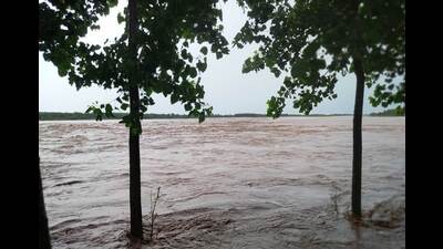 Pathankot, Gurdaspur districts on alert as water level rises in Ravi Pathankot, Gurdaspur districts on alert as water level rises in Ravi