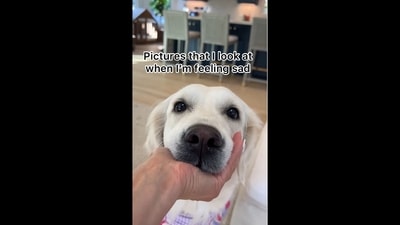 A screengrab of the video that shows the Golden Retriever dog's million-dollar smile. The text insert on the image reads, “Pictured that I look at when I'm feeling sad.” (Instagram/@ladyandtheblues) A screengrab of the video that shows the Golden Retriever dog's million-dollar smile. The text insert on the image reads, “Pictured that I look at when I'm feeling sad.” (Instagram/@ladyandtheblues)