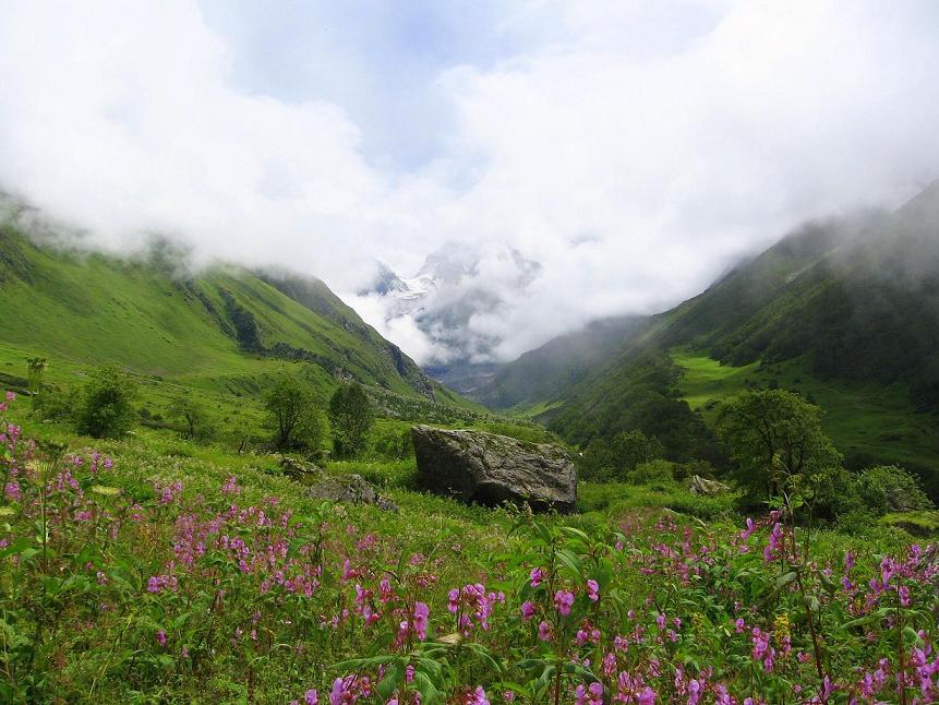 Valley of Flowers National Park in Uttarakhand's Chamoli. (wikipedia)