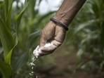 Agricultural yields are influenced by complex factors – soil quality, seed quality, water supply, climate and pests.&nbsp;