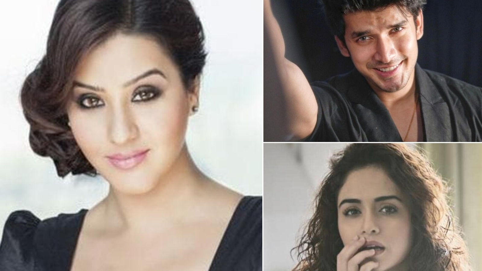 Jhalak Dikhlaa Jaa 10 confirmed contestants: Shilpa Shinde, Amruta Khanwilkar and more; Tony Kakkar, Ali Asgar may join