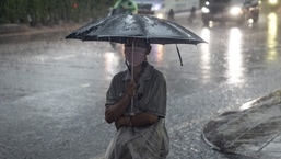 A woman protects herself with an umbrella as she walks down the street during heavy rain. (Representational image)