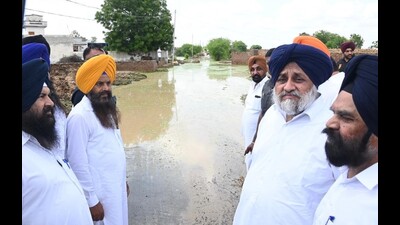Allocate funds to compensate rain-affected farmers: Badal to Punjab government
