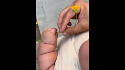 The baby boy carries the flower that his father picked out for his mom during a walk. (Instagram/@joshterada) The baby boy carries the flower that his father picked out for his mom during a walk. (Instagram/@joshterada)