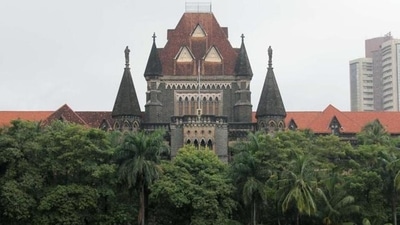 Replying to the two separate pleas, the court said there were so many holidays this month, hence nothing will be done with electrifying speed by the government (HT File Photo) (HT_PRINT) Replying to the two separate pleas, the court said there were so many holidays this month, hence nothing will be done with electrifying speed by the government (HT File Photo) (HT_PRINT)