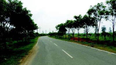 The CAG report said the forest department planted the maximum trees along roads while the degraded patches inside the forest area which was inaccessible, were not taken for plantation activity (Odisha forest dept photo) The CAG report said the forest department planted the maximum trees along roads while the degraded patches inside the forest area which was inaccessible, were not taken for plantation activity (Odisha forest dept photo)
