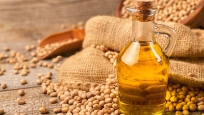 Soya oil is rich in nutrients and antioxidants – this oil helps in reducing the layers of fat accumulation in the body. It also helps in boosting cardiovascular health. (Unsplash) Soya oil is rich in nutrients and antioxidants – this oil helps in reducing the layers of fat accumulation in the body. It also helps in boosting cardiovascular health. (Unsplash)
