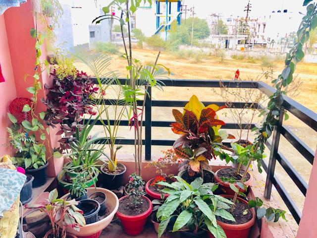 The great joy of tending to a balcony garden. (Shutterstock) The great joy of tending to a balcony garden. (Shutterstock)