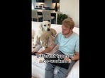 The image shows the Golden Retriever dog and her human. The text insert on the image reads, “Different types of co-workers.”(Instagram/@ladyandtheblues) The image shows the Golden Retriever dog and her human. The text insert on the image reads, “Different types of co-workers.”(Instagram/@ladyandtheblues)