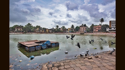 Chhatrapati Shivaji Maharaj Talao (Sheetal Talao) at Kurla (Anshuman Poyrekar/HT PHOTO) Chhatrapati Shivaji Maharaj Talao (Sheetal Talao) at Kurla (Anshuman Poyrekar/HT PHOTO)