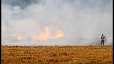 The Commission for Air Quality Management (CAQM) has asked Punjab, Haryana and Uttar Pradesh to formulate a policy to ensure continuous supply of paddy straw for ex-situ utilisation and co-firing in thermal power plants. (s) The Commission for Air Quality Management (CAQM) has asked Punjab, Haryana and Uttar Pradesh to formulate a policy to ensure continuous supply of paddy straw for ex-situ utilisation and co-firing in thermal power plants. (s)