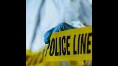 2 girls injured after attack by pet Pitbull dog in Jalandhar