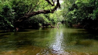 6. Another nickname for Coorg is "Scotland of India." Coorg is home to a number of breathtaking tourist attractions, including Abbey Falls, Iruppu Falls, Raja's Seat, Tadiandamol Peak, Barapole River, and Kumara Parvatha Trek. Unconventional woodland camps and mountains surround it. If you want to experience an adrenaline rush, this is the ideal place to do it. It's a wonderful location for you and your girl gang to enjoy some time together in the great outdoors. 6. Another nickname for Coorg is "Scotland of India." Coorg is home to a number of breathtaking tourist attractions, including Abbey Falls, Iruppu Falls, Raja's Seat, Tadiandamol Peak, Barapole River, and Kumara Parvatha Trek. Unconventional woodland camps and mountains surround it. If you want to experience an adrenaline rush, this is the ideal place to do it. It's a wonderful location for you and your girl gang to enjoy some time together in the great outdoors.