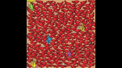 The image that challenges people to find four crabs hidden among the lobsters was created by illustrator Gergely Dudás.&nbsp; (Instagram/@thedudolf)